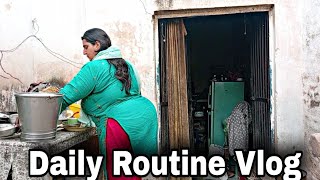 Daily Routine Vlog Shabnum Jutti Family