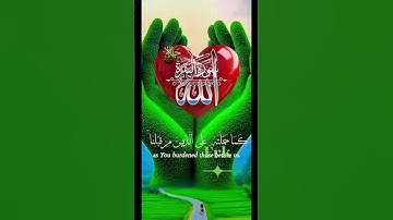 أواخر سورة البقرة #ذكر #المصحف #اكسبلور #قران_كريم #القارئ #الصلاة_على_النبي #حالات_واتس