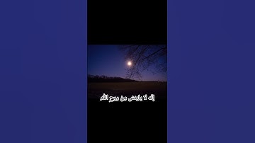 إنه لا يايئس من روح الله الا القوم الكافرون / عبدالباسط عبدالصمد/ #سورة_يوسف #quran #المصحف #اكسبلور