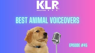 Best Animal Voiceovers - Ep. 45 by KLR Productions 67,323 views 2 months ago 8 minutes, 21 seconds