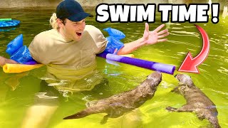 Teaching Otters How To Swim ! What Happens ?!