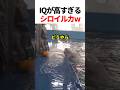 IQが高すぎるシロイルカw