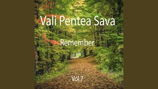 Video thumbnail of "Vali Pentea Sava - Lasa-ti povara"