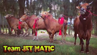 This is how the Jet Matic team maintains the stability of their racing cows