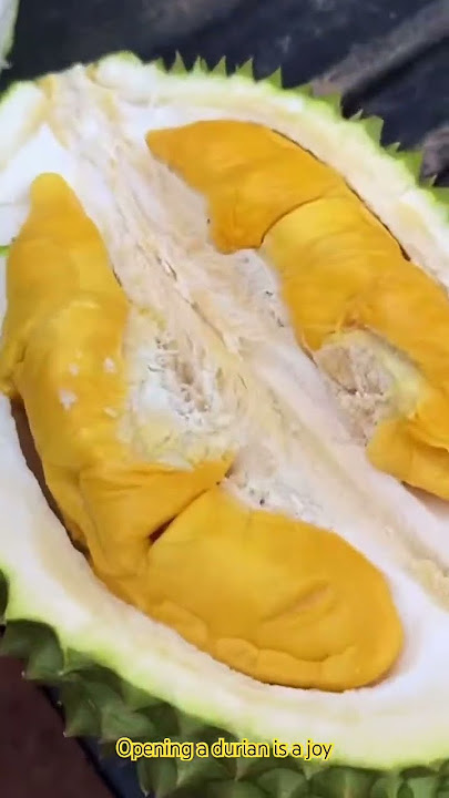 Opening a durian is a joy!#musangking #durianrider #durian #unboxing #blackthorn #blackthorndurian