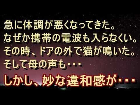 【修羅場 衝撃】【洒落怖 不気味】急に体調が悪くなり、焦って母に電話したがなぜか電波が入らない。不安でいっぱいになってきたとき、ドアの外で猫が鳴いた…
