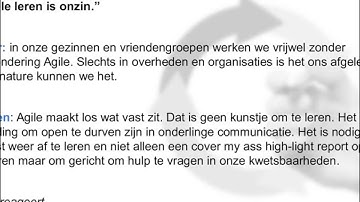 What is Agile portfolio management