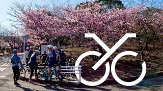 Yokosuka Cycling Club | Miura Sakura x Dark Arts Coffee 2.21.2026