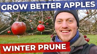 How to Prune Apple Trees in Winter  Full in Depth Tutorial