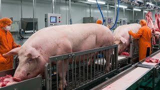 INSIDE A $BILLION PORK FACTORY: How pork meat are process in the factory | Behind the the scene.