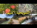 الشويحية موسم الفواكه الرمان والزيتون في منطقة الشرقية إقليم بركان 