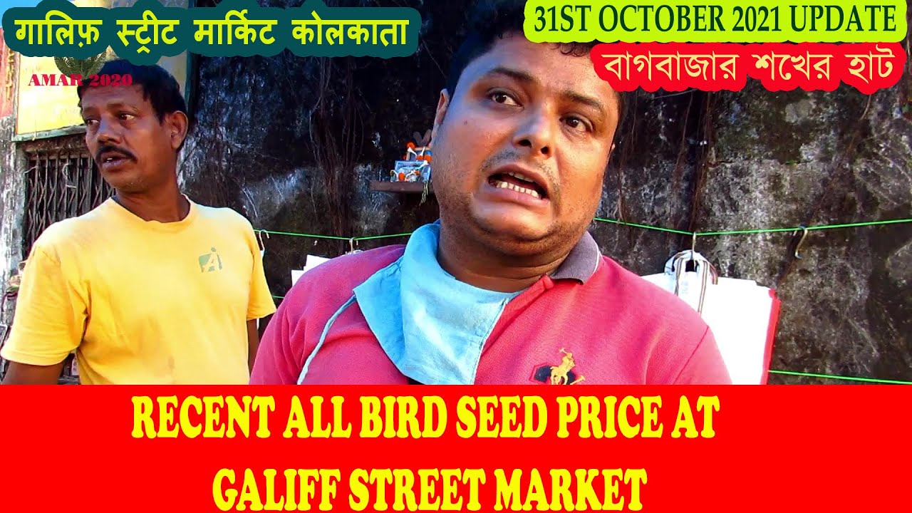 BIRD SEED RECENT PRICE AT GALIFF STREET PET MARKET KOLKATA WEST BENGAL