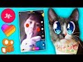 РЕАКЦИЯ на подписчиков в LIKE Musical.ly и KWAI ВОЛШЕБНЫЕ ПИТОМЦЫ СМОТРЯТ КЛИПЫ ПОДПИСЧИКОВ