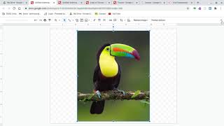 How To Insert a Photo Into a Google Drawing