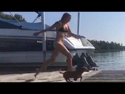springboard ‘Diving’ into fall, watch till the end because the dogs are not so sure