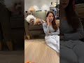 假裝講電話，偷講關鍵字看希露弟弟的反應😂 #shortstw #shorts #foryou #viral #fyp #dog #狗狗