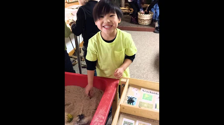 Kindergarten 2014 - 2015