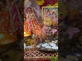 Mata Rani Bless Us Chaitranavratri Jaimatadi 