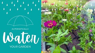Quick & Easy Raised Bed Irrigation System: How I Automatically Water 15 Raised Garden Beds!