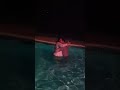 Drunken swims