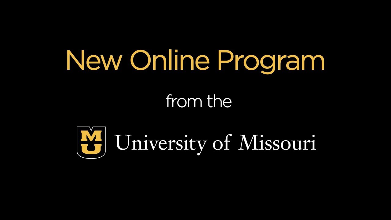 masters in economics online