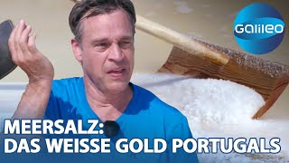 Salz ist nicht gleich Salz! Harro bei der Meersalzernte in Portugal | Galileo | ProSieben