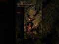 Talking smack about Quelaag with her sister