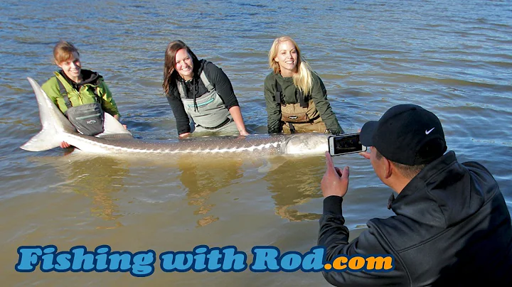 Fraser River Sturgeon Handling Guidelines | Fishing with Rod