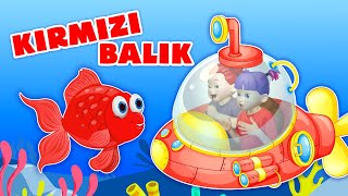Kırmızı Balık Gölde Yeni̇ Köpek Balığı Ile Yakalamaca Eğlenceli Çocuk Ve Bebek Şarkıları
