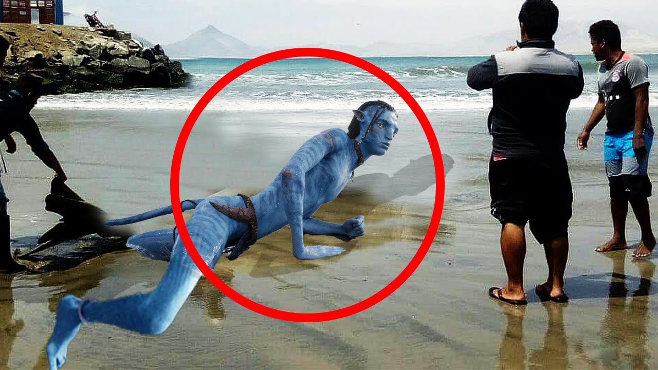 5 Personajes de AVATAR Captados en Cámara en la Vida REAL