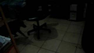 MOV01106