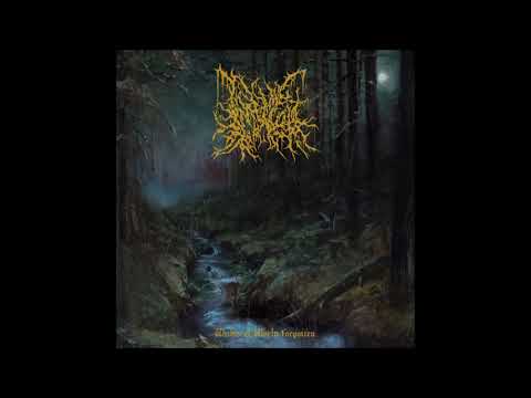 Infernal Coil - Within a World Forgotten || 2018 || FULL ALBUM