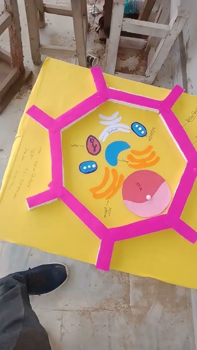 Cell Model | Final lesson model #shorts #viral - YouTube