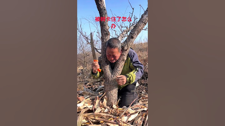 What should I do if I get stuck#Funny#Funny Video
