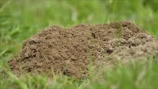 Celebrity Daily Devotion:  Words of Wisdom: Proverbs 15: 1- 5 Net Worth