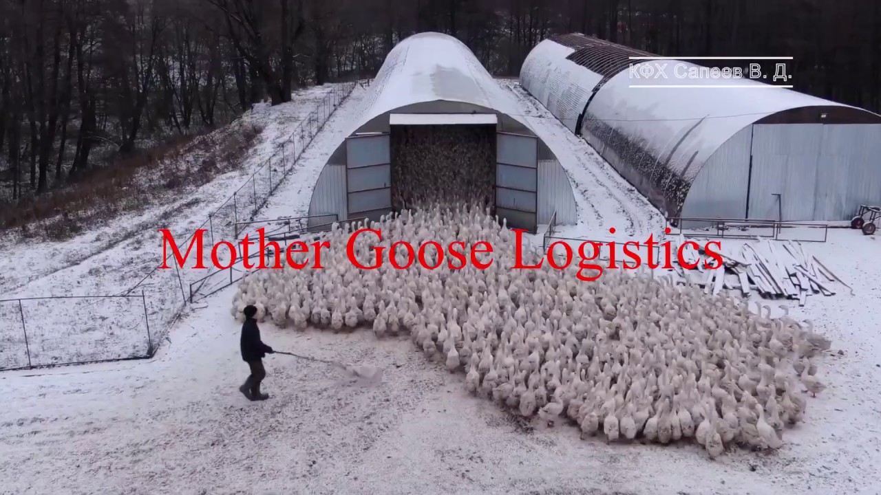 Mother Goose Logistics.