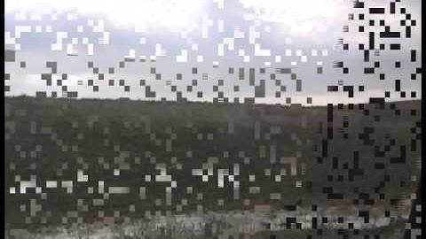 100,000 Miles of Coyote Snaring