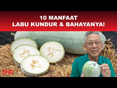 10 Manfaat Labu Kundur! Ada Bahayanya Juga!