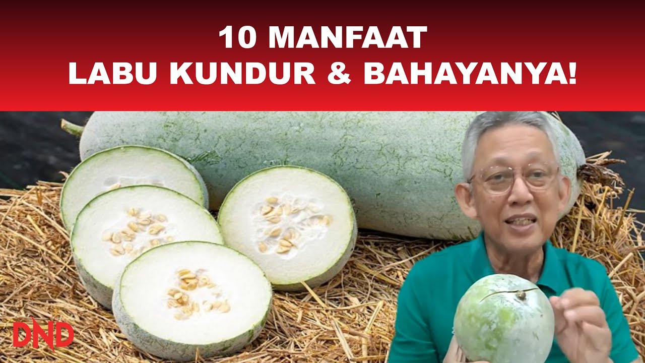 10 Manfaat Labu Kundur! Ada Bahayanya Juga!