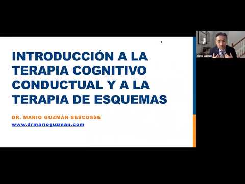 Video: ¿Quién inventó la terapia de esquemas?