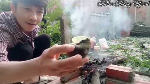 Đi bắt ốc bươu vàng làm ngay món nướng chấm nước mắm xả siêu cay - Miền Tây