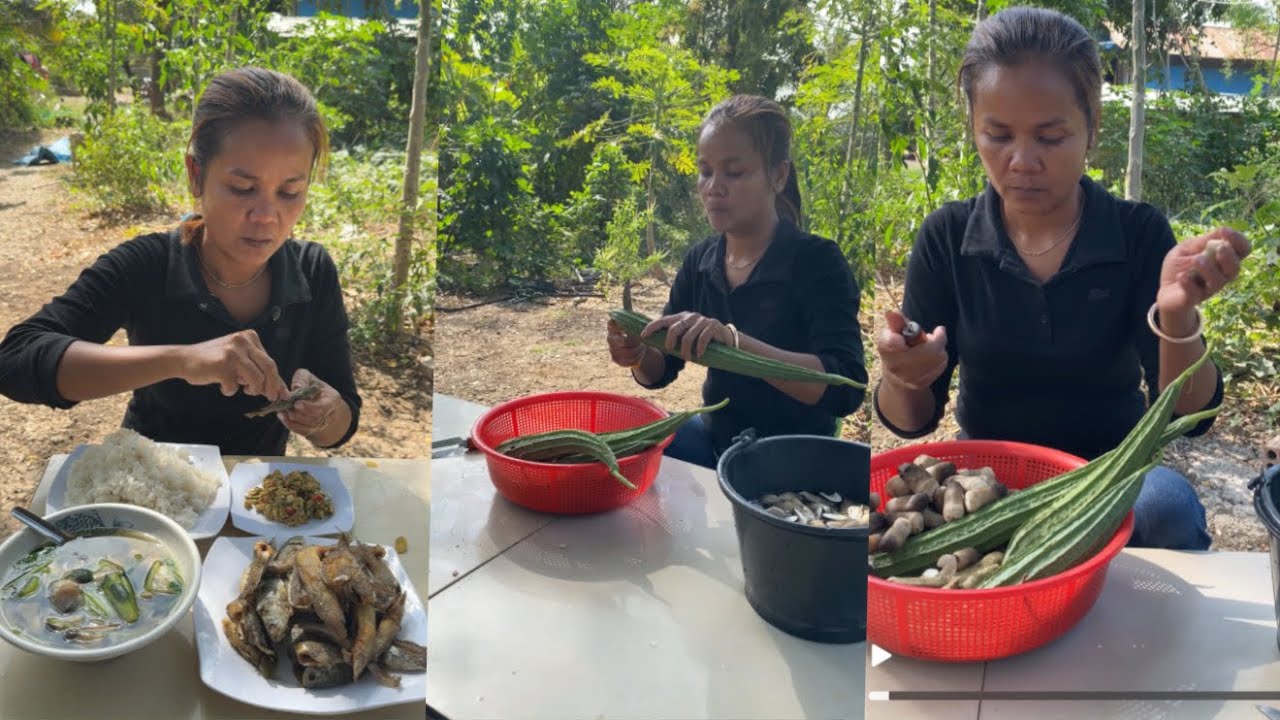 Моя еда сегодня