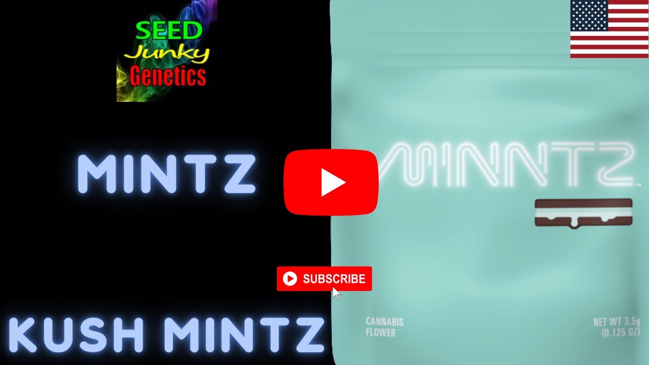 MIntz - Kush Mintz from Seed Junky Genetics.