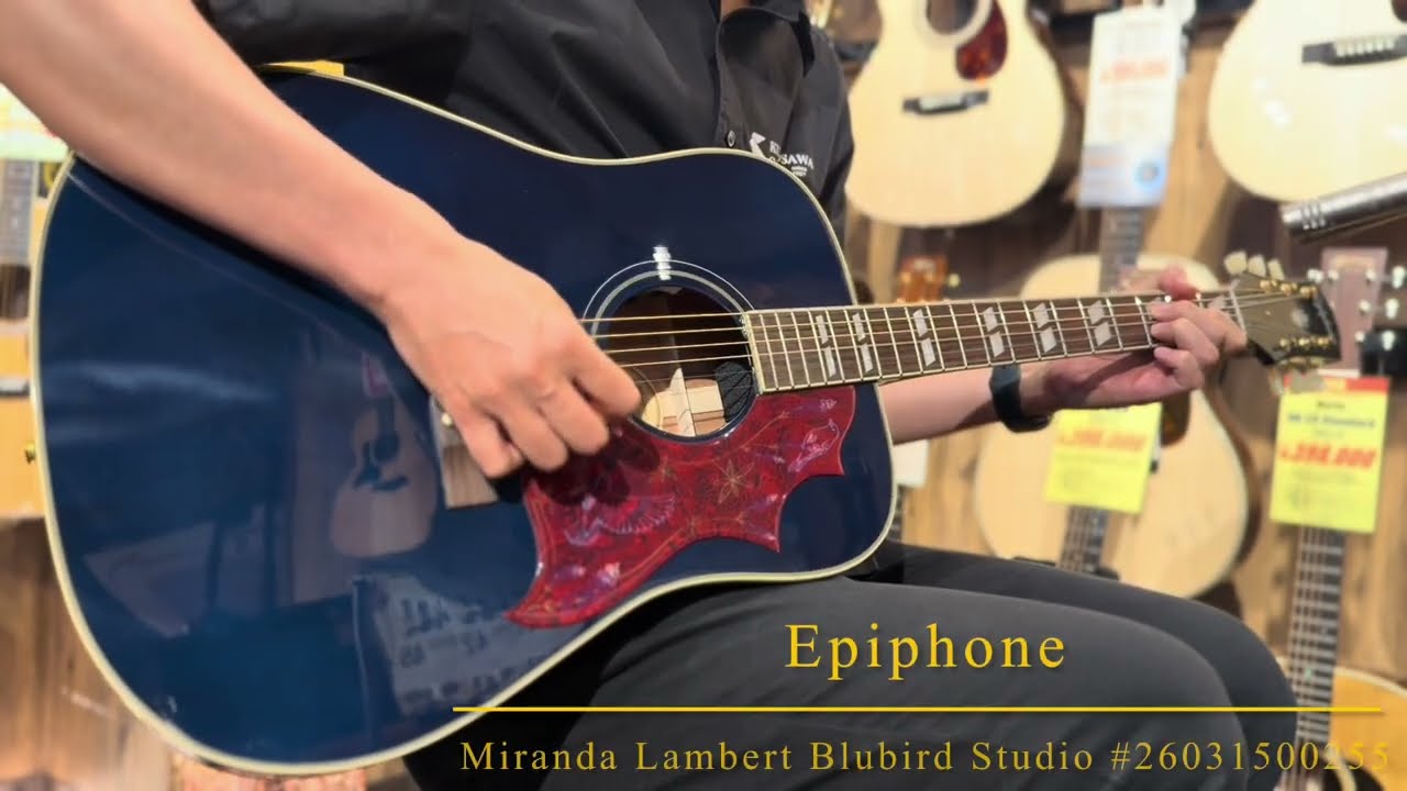 新品〕Epiphone Miranda Lambert Bluebird Studio #26031500255【目を