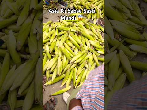 Asia ki Sabse Sasti Mandi 😱 #trendingshorts #subscribe #no1trending #sastimandi