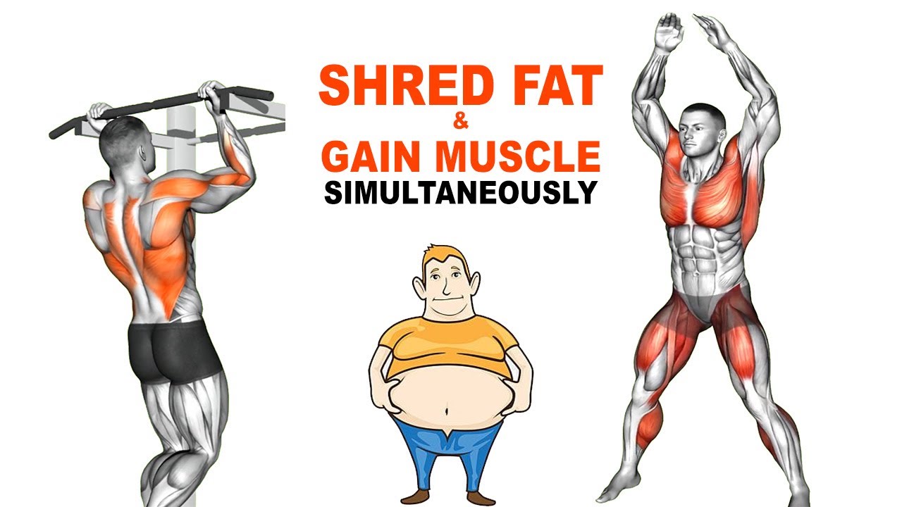 Shred Fat And Gain Muscle Simultaneously YouTube shred-fat-and-gain-muscle-simultaneously-youtube