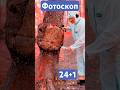 Фотоскоп: Как мы засняли инопланетян