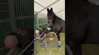 More Passion #Farrier #Oddlysatisfying #Shortswithcamilla #Equestrian #Horse