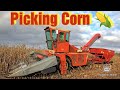 Picking Corn with a New Idea Uni Harvester with 839 Husking Bed