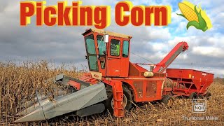 Picking Corn with a New Idea Uni Harvester with 839 Husking Bed